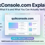 Scamalytics Explained: IP Fraud Score, Risks & How It Works