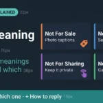 Scamalytics Explained: IP Fraud Score, Risks & How It Works