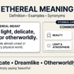 TTM Meaning in Text: What Does TTM Mean and How Do You Reply?