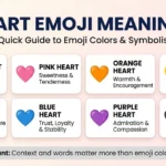 DMV Road Signs and Meanings: The Complete Study Guide